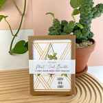 pack of cards for plant lovers Teluna