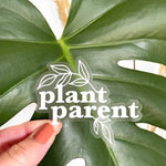 plant parent sticker modern white clear boho plant lover sticker